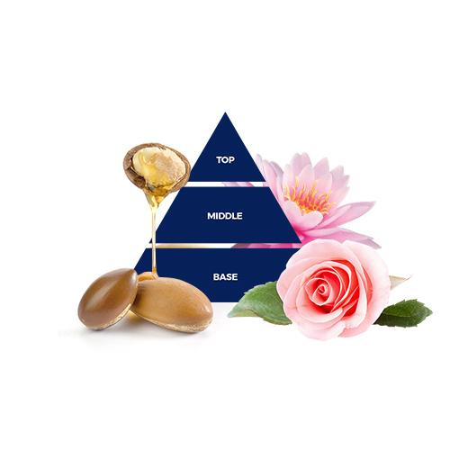 Pyramida argan